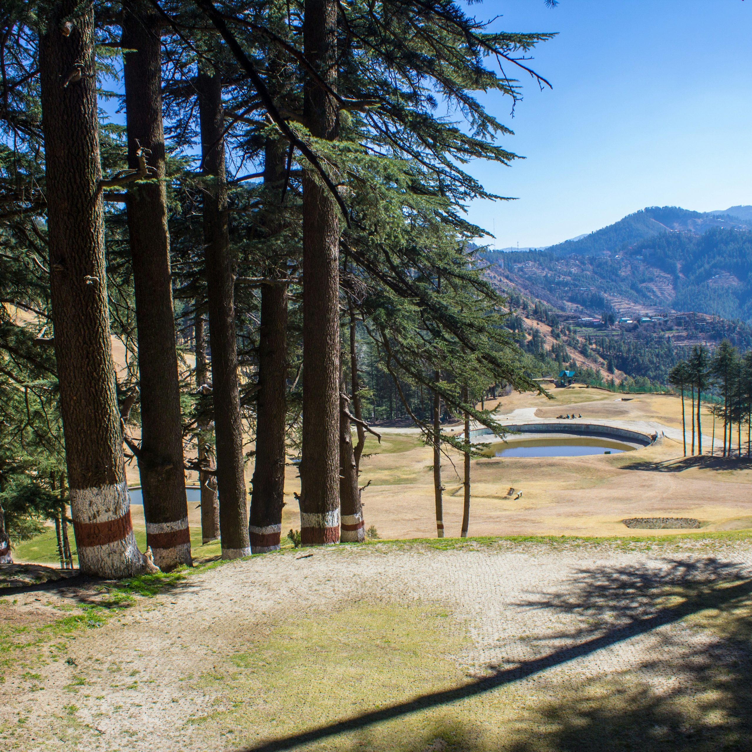 Naldehra